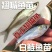 【精选】优质翘嘴苗翘壳鱼苗渔场直发，技术指导保活