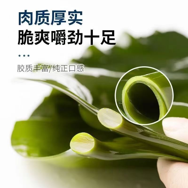 【全干无盐】烘干海带头特厚炖汤霞浦免洗煲汤特级无盐干海带头