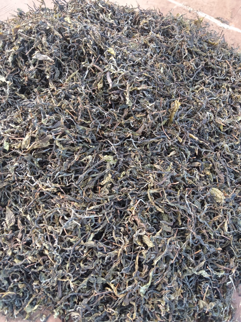有想喝好茶的联系我！