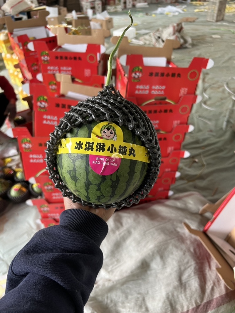 【小糖丸】砀山西瓜手剥皮网红瓜货量大承接电商带诚信代办