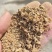 果渣苹果渣梨渣糖分高除膜除尘牛羊家禽类饲料