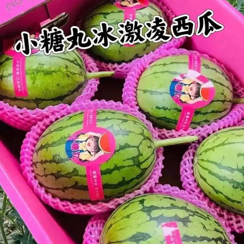 【小糖丸】砀山西瓜手剥皮网红瓜货量大承接电商带诚信代办
