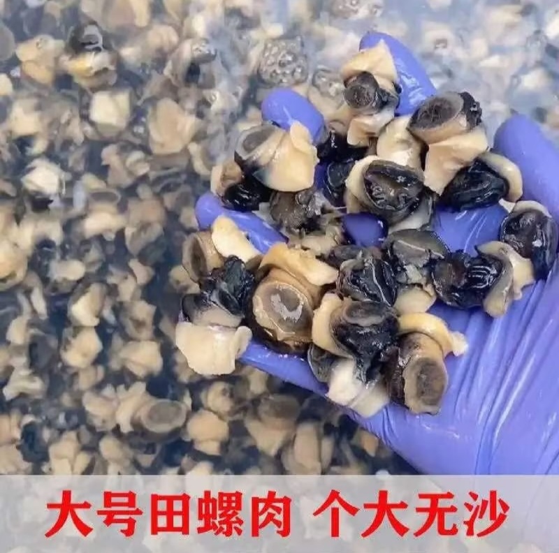 【推荐】田螺肉精品田螺肉产地直发全国发货欢迎来电