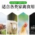 墨西哥玉米草种籽牧草种子养牛羊猪兔再生畜牧养殖喂鱼草种子