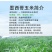 墨西哥玉米草种籽牧草种子养牛羊猪兔再生畜牧养殖喂鱼草种子