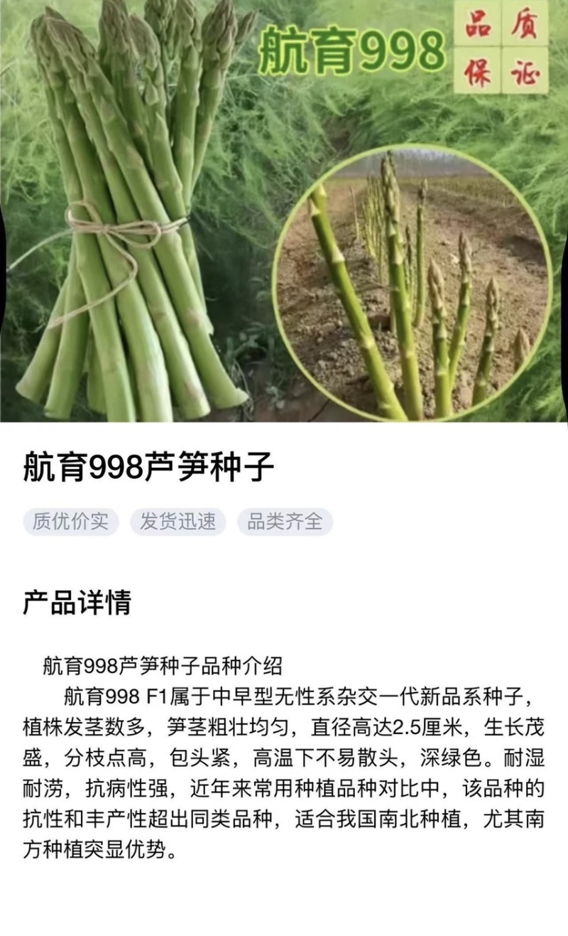 芦笋种子航育998厂家直发售后保障量大优惠品种纯正保真