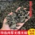 东北黑木耳干货电商，团购，跑摊，干黑木耳，木耳，量大从优