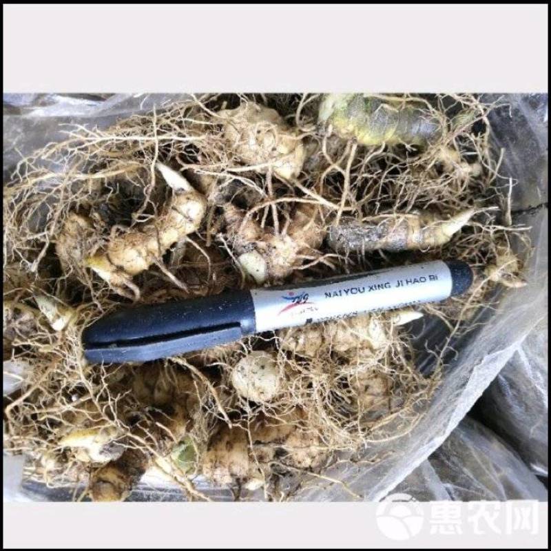 产地直供可以视频看货