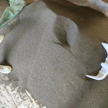 北柴胡籽
