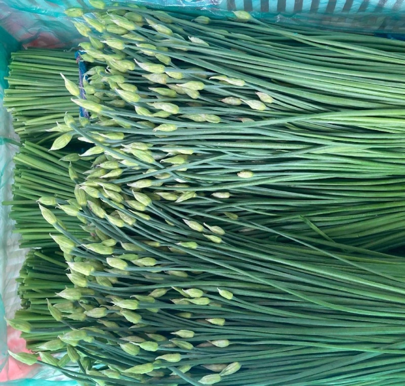韭苔，韭菜苔，韭菜花，产地直发
