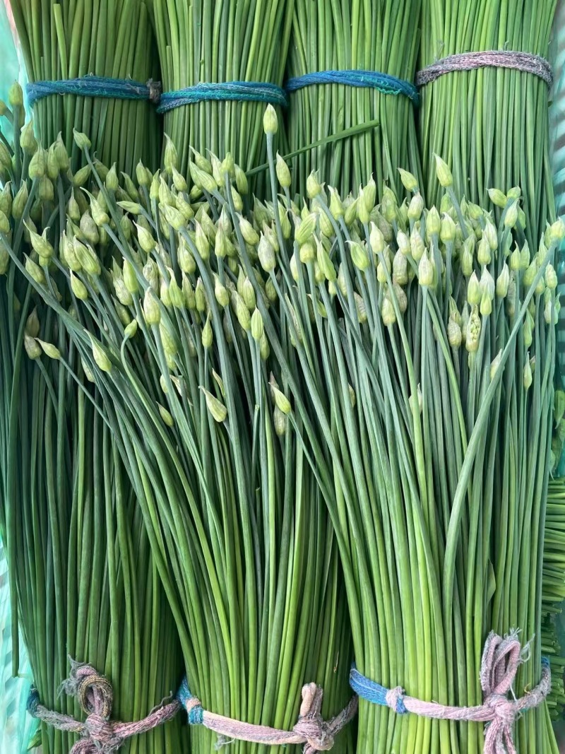 韭苔，韭菜苔，韭菜花，产地直发