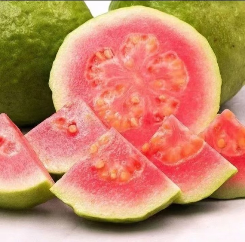 番石榴批发