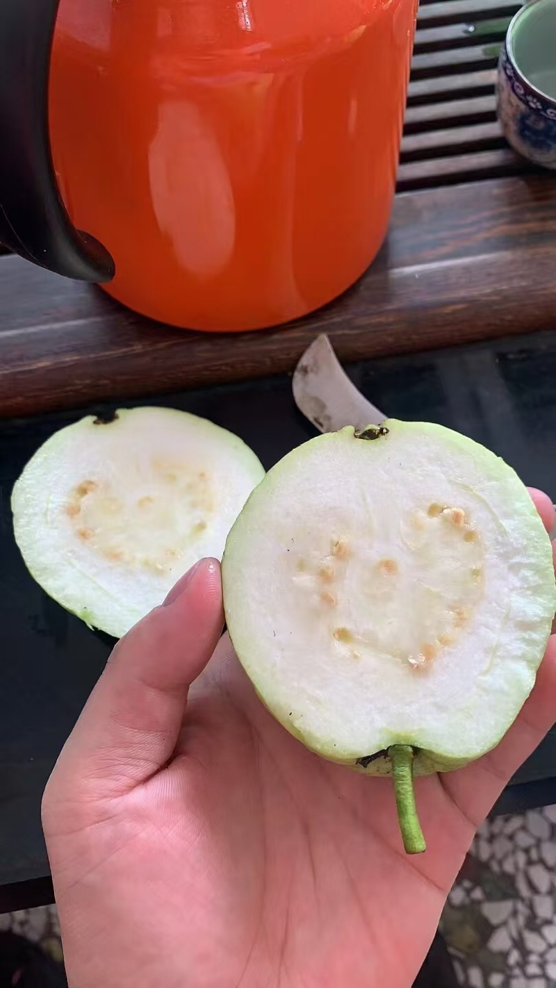 番石榴批发