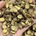 野生甘草片，规格齐全，产地进口，甘甜，高温清热解暑。