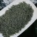 250g高山绿茶新茶浓香型绿茶叶绿茶碧螺春