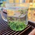 250g高山绿茶新茶浓香型绿茶叶绿茶碧螺春