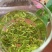250g高山绿茶新茶浓香型绿茶叶绿茶碧螺春