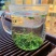 250g高山绿茶新茶浓香型绿茶叶绿茶碧螺春