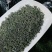 250g高山绿茶新茶浓香型绿茶叶绿茶碧螺春
