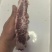 牛排骨国产鲜冻牛肋排黄牛牛肋排鲜的很肉多多