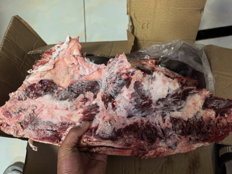 牛排骨国产鲜冻牛肋排黄牛牛肋排鲜的很肉多多