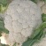 精品花菜，产地直发