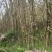 现货全网电商贵州高山青皮甘蔗百亩基地全国发货一件代发