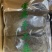 好山好水出好茶，*美宜居贡茶飘香四溢千里。