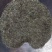 好山好水出好茶，*美宜居贡茶飘香四溢千里。