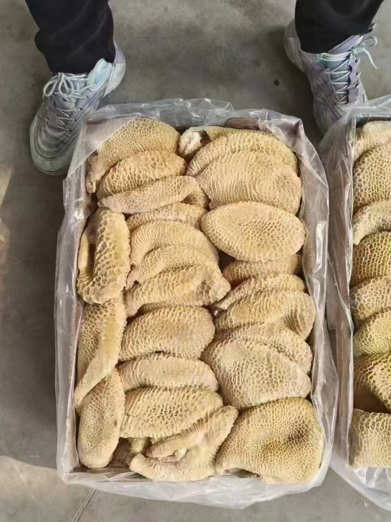 金钱肚质量好纯干货