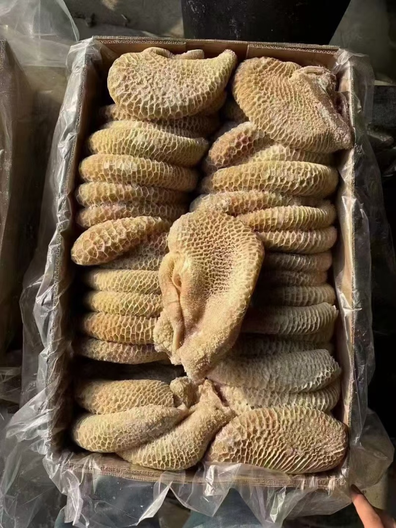 金钱肚质量好纯干货