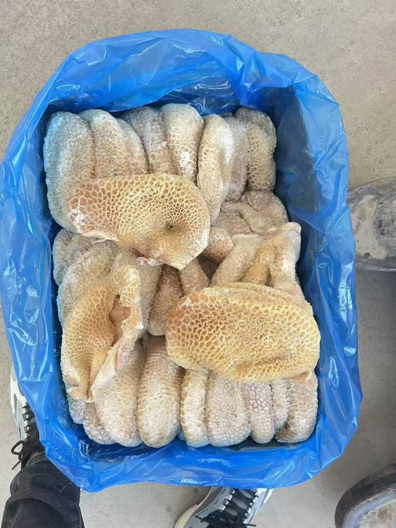 金钱肚质量好纯干货