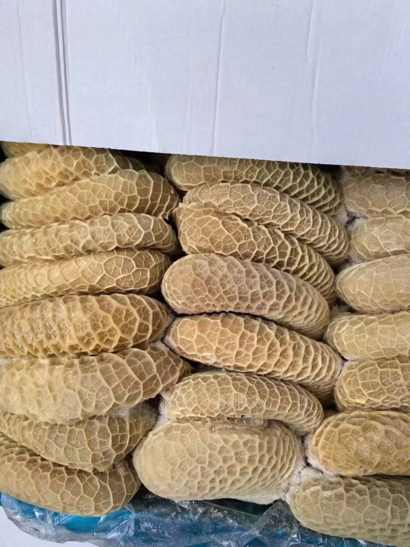 金钱肚质量好纯干货
