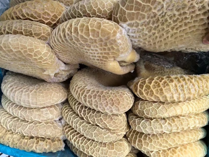 金钱肚质量好纯干货