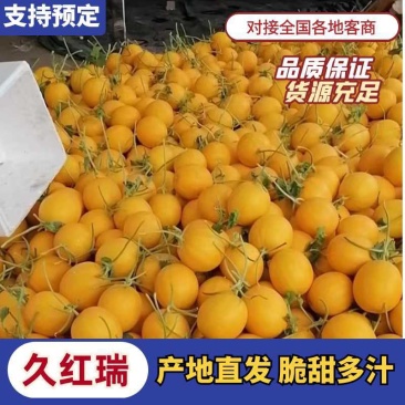 山东莘县“黄河蜜”甜瓜，俗称久红瑞，服务周到产地直采