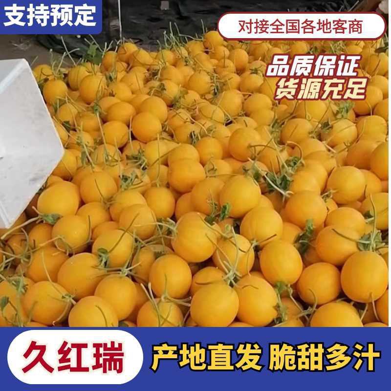 山东莘县“黄河蜜”甜瓜，俗称久红瑞，服务周到产地直采