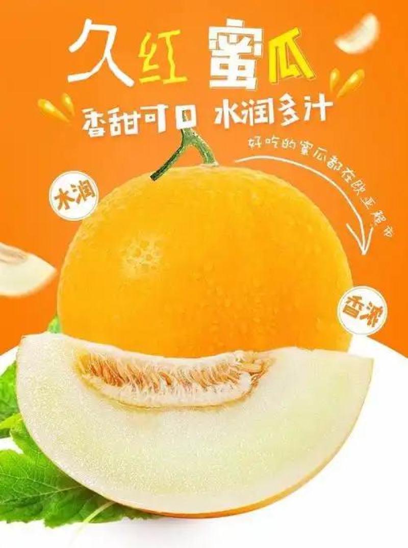 山东莘县“黄河蜜”甜瓜，俗称久红瑞，服务周到产地直采