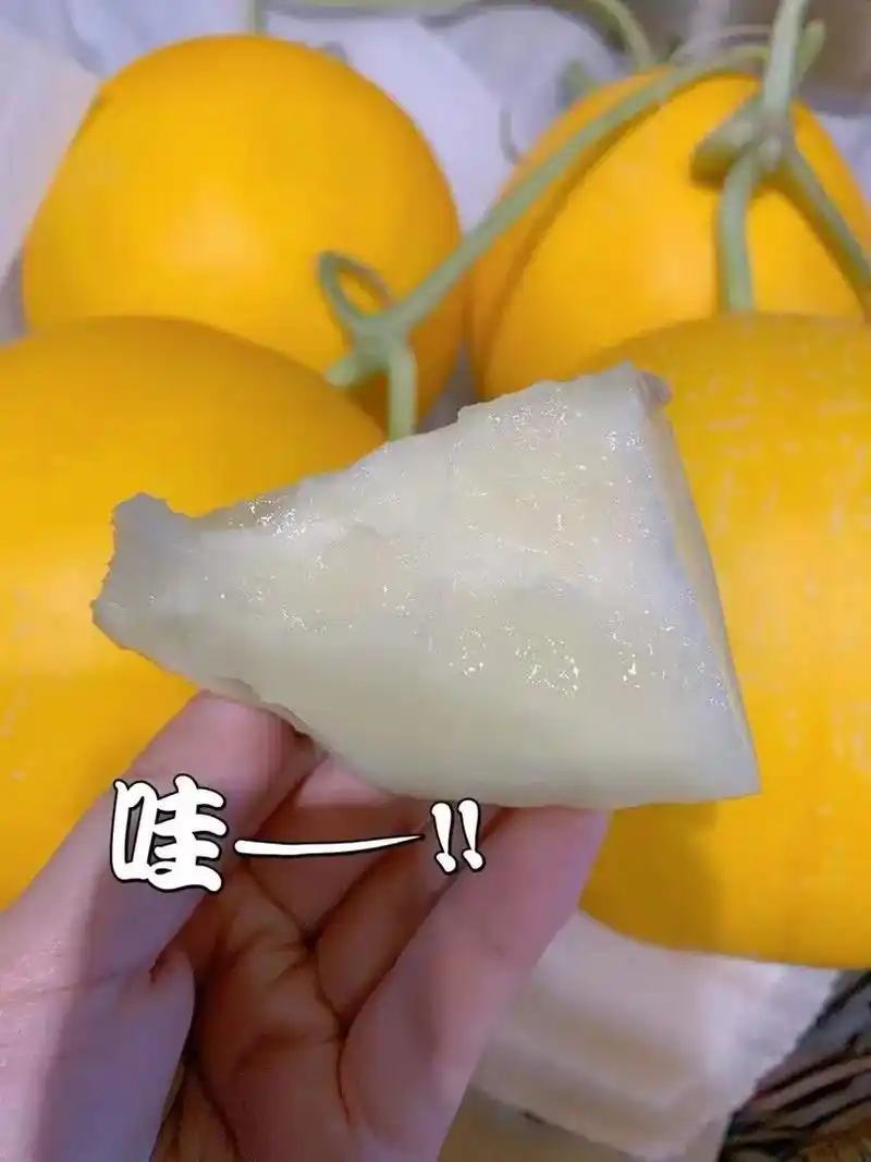 山东莘县“黄河蜜”甜瓜，俗称久红瑞，服务周到产地直采