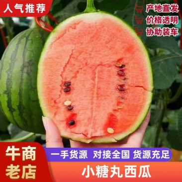 山东莘县小糖丸西瓜，礼品西瓜品质保证服务周到产地直发