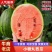 山东莘县小糖丸西瓜，礼品西瓜品质保证服务周到产地直发