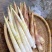 纯野生三月竹笋鲜货，四川乐山市峨边县产，都是现挖现发