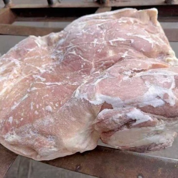 鲜分带皮后上肉