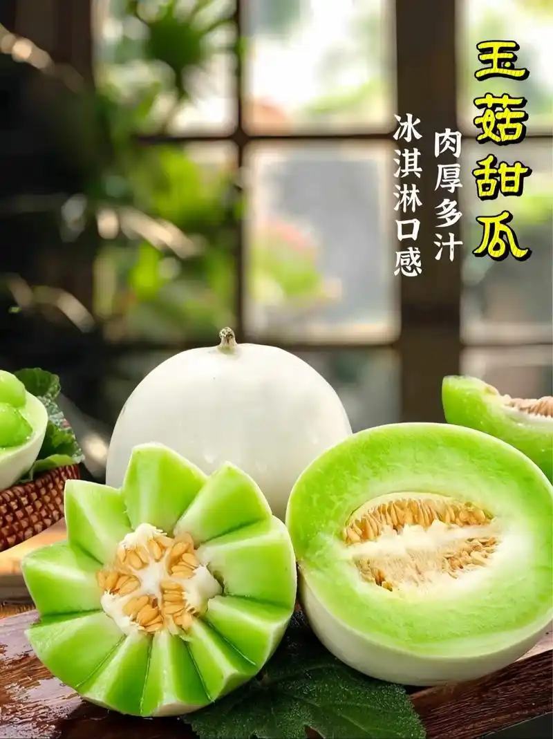 山东莘县产地，玉菇甜瓜口感软糯香甜适合老人孩子的