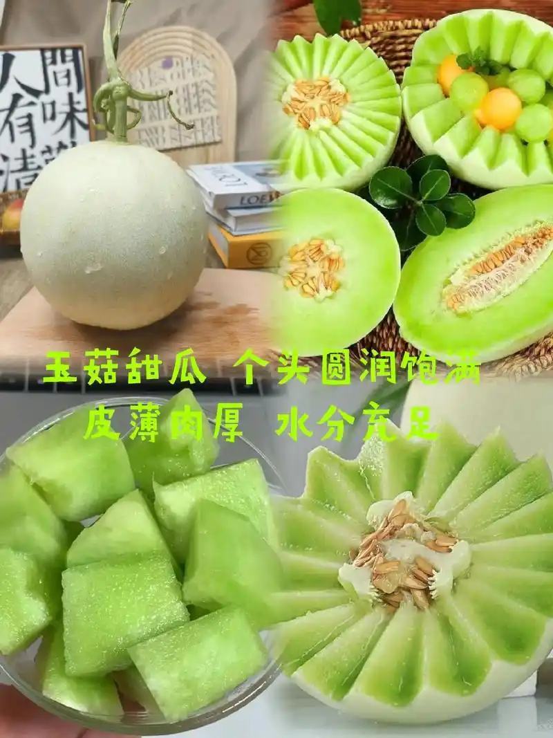 山东莘县产地，玉菇甜瓜口感软糯香甜适合老人孩子的