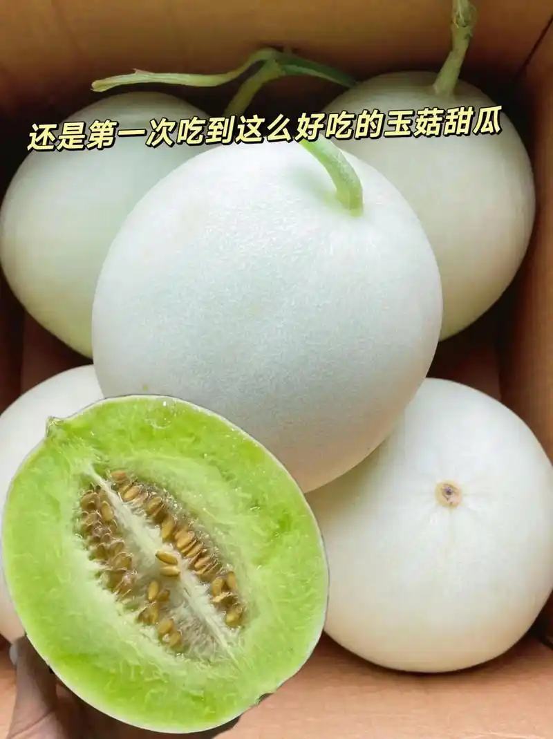 山东莘县产地，玉菇甜瓜口感软糯香甜适合老人孩子的