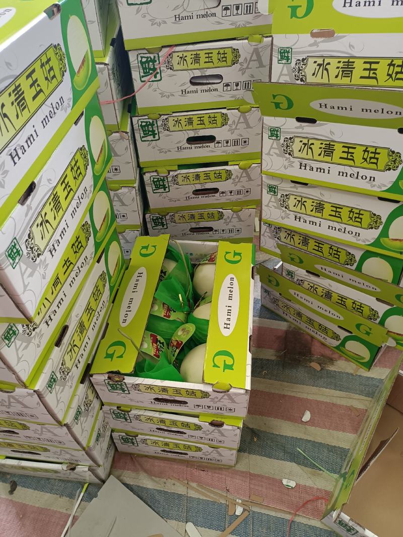 山东莘县产地，玉菇甜瓜口感软糯香甜适合老人孩子的