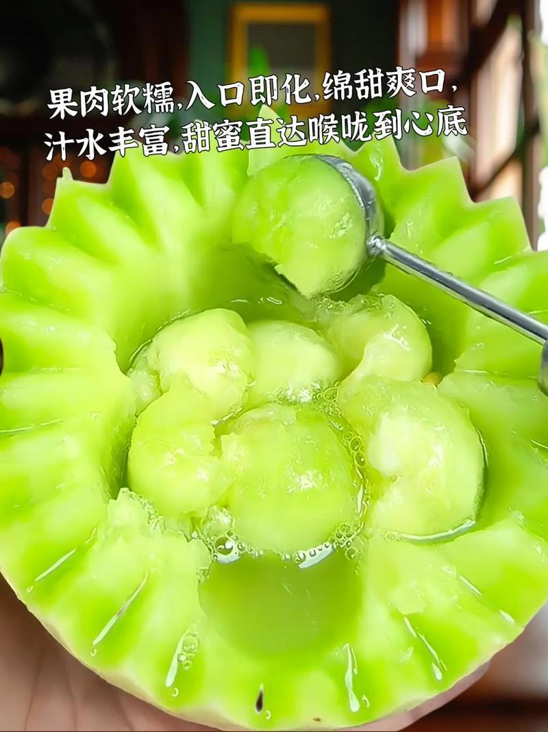 山东莘县产地，玉菇甜瓜口感软糯香甜适合老人孩子的