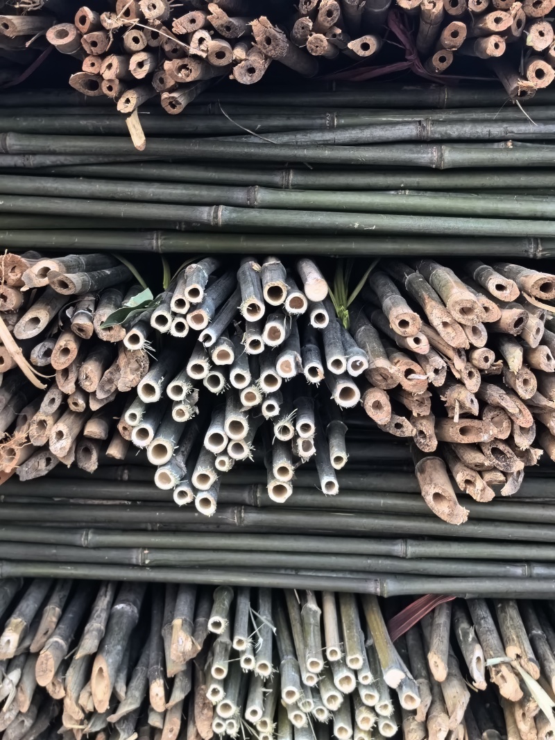 菜架竹场地批发豆角架，圣女果，爬苗架杆