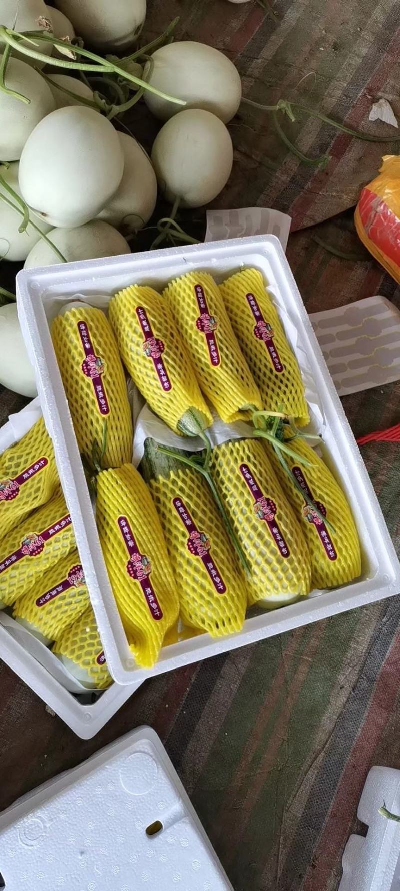 山东莘县产区博洋61上市中嚷口好口味嘎嘎甜，皮薄肉厚多汁