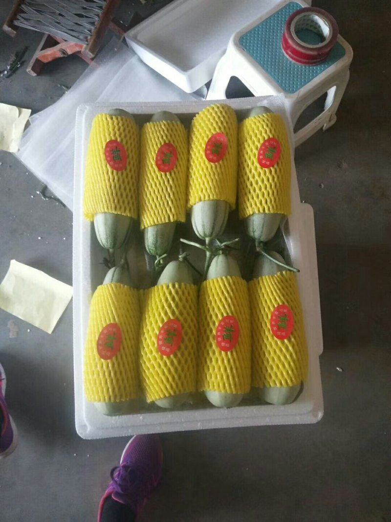 山东莘县产区博洋61上市中嚷口好口味嘎嘎甜，皮薄肉厚多汁